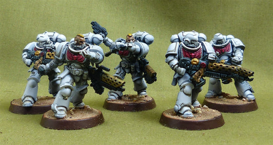 Infernus Squad set of 5 painted - White Scars - Warhammer 40K #4PU