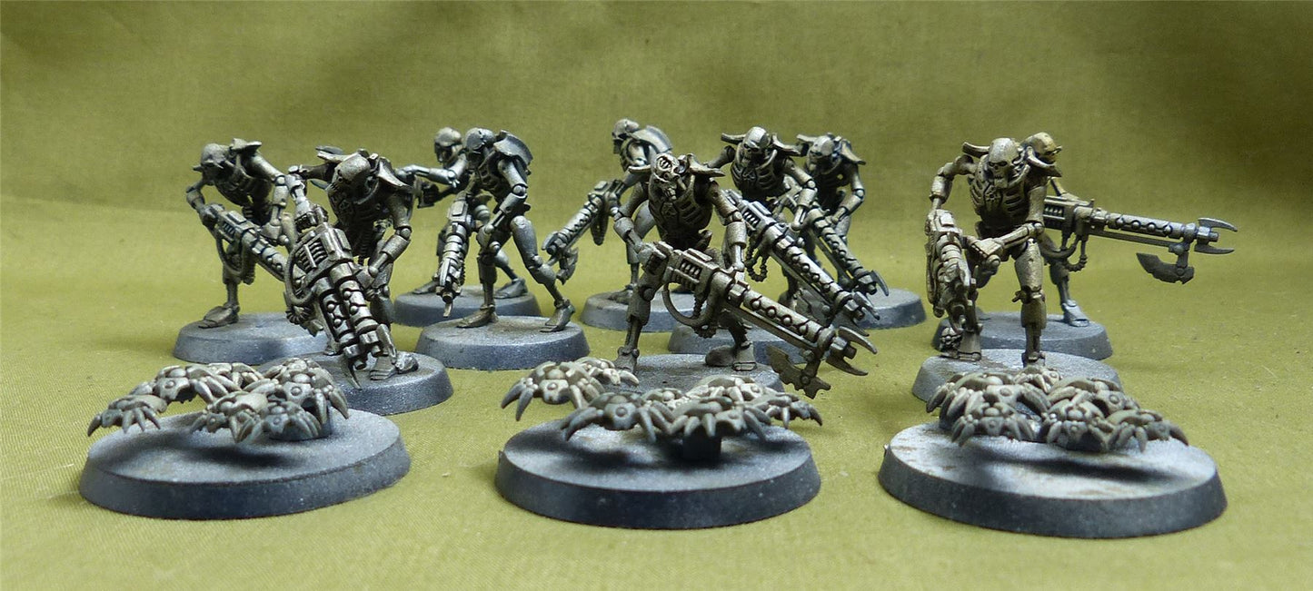 Warriors with Scarab Swarms - Necrons - Warhammer 40K #1GY