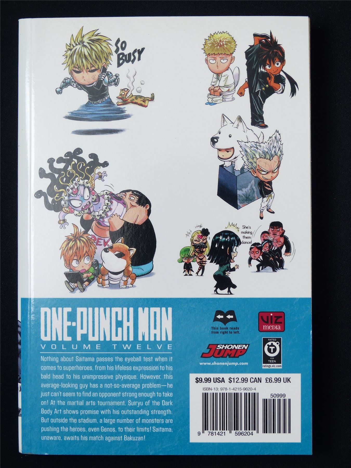 One-Punch Man Volume 12 - Viz Media Manga #50G