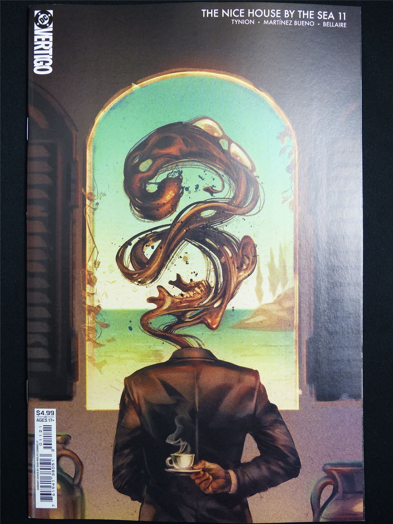 The NICE House by the Sea #11 Cvr B - Oct 2026 DC Vertigo Comic #338