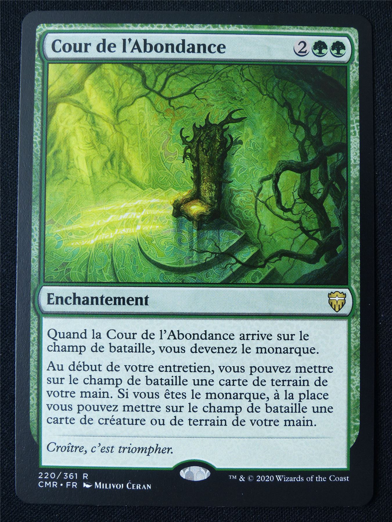 Court of Abundance french - CMR - Mtg Card #2EE Court of Abundance french - CMR - Mtg Card #2EE
