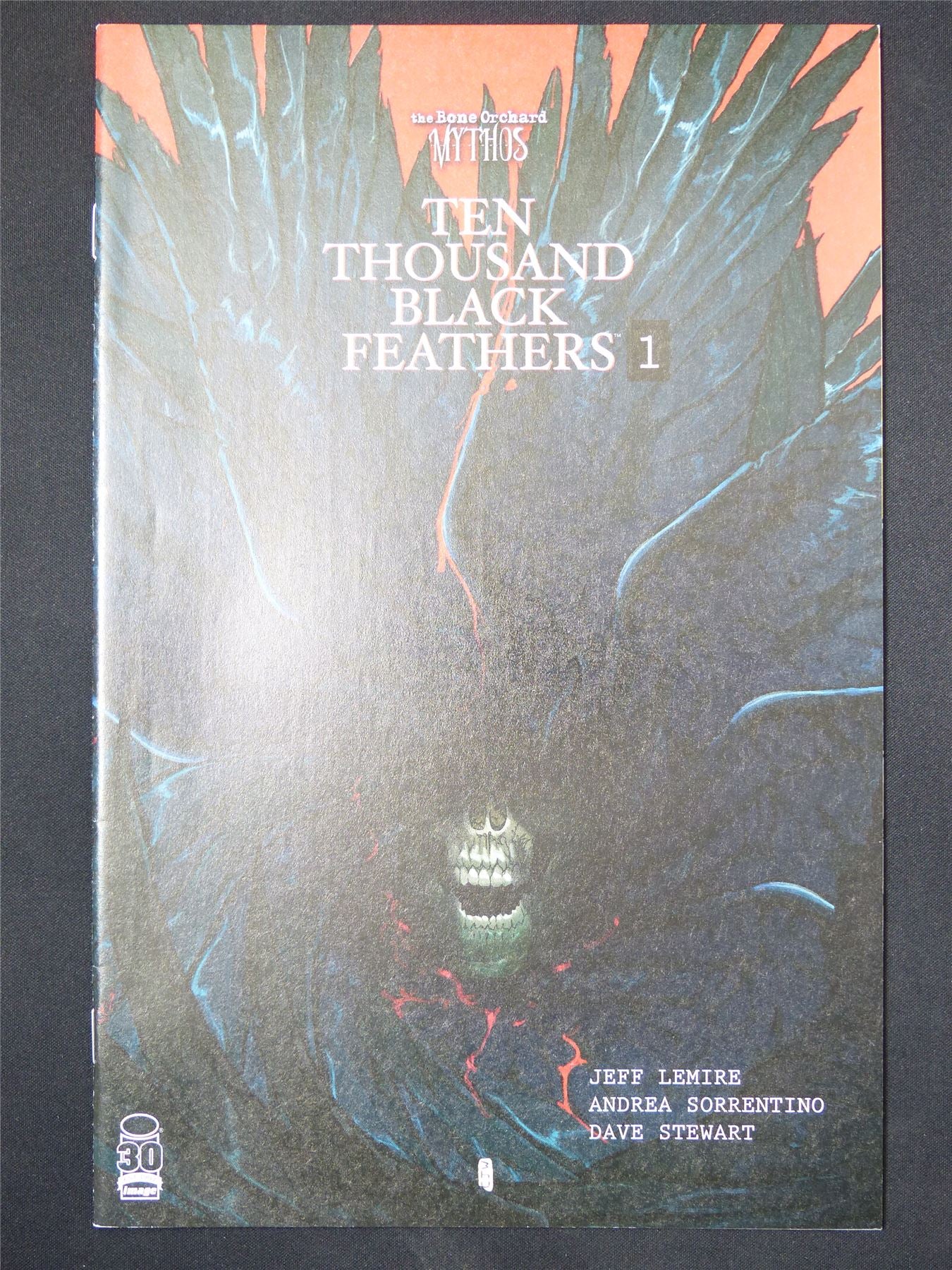 TENTHousand Black Feathers #1 - Image Comic #2P1