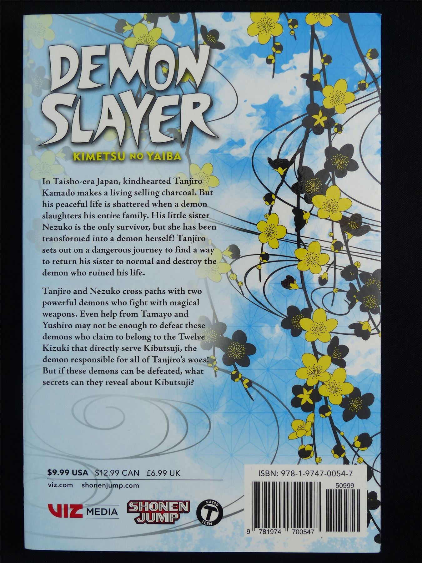 Demon Slayer: Kimetsu no Yaiba volume 3 - Viz Manga #544