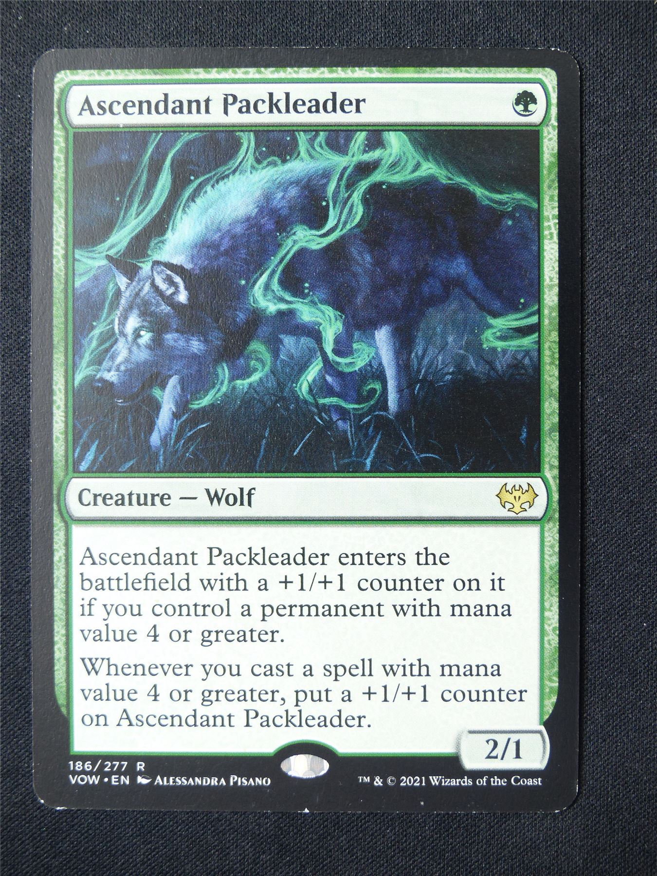 Ascendant Packleader - VOW - Mtg Card #5J4