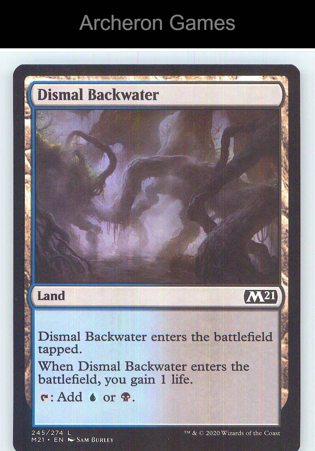 Dismal Backwater M21 245 Land MTG Card NM/EX+
