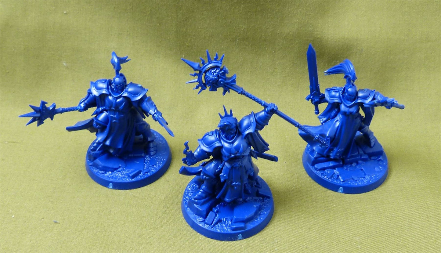 Stormsire's Cursebreakers Warband - Warhammer Underworlds #28Y