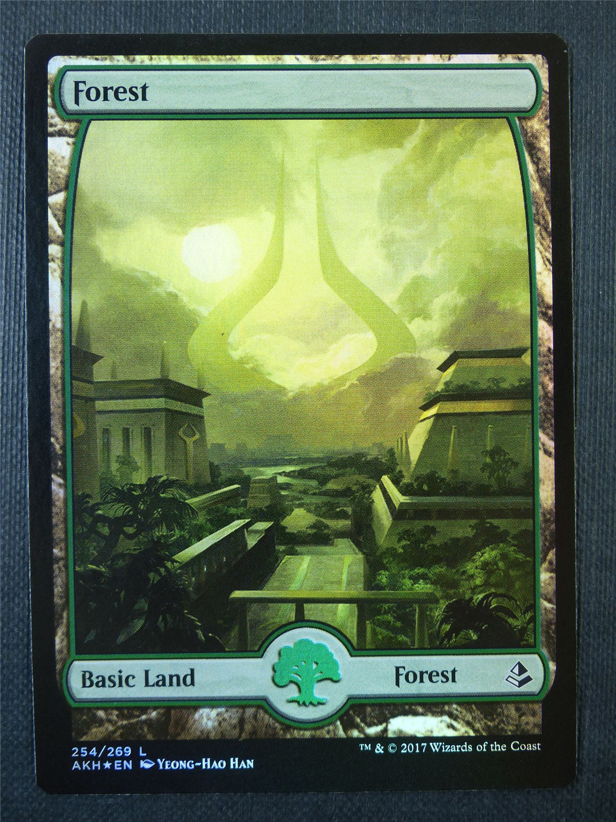 Forest 254/269 Full Art Foil - Mtg Card #8Q5