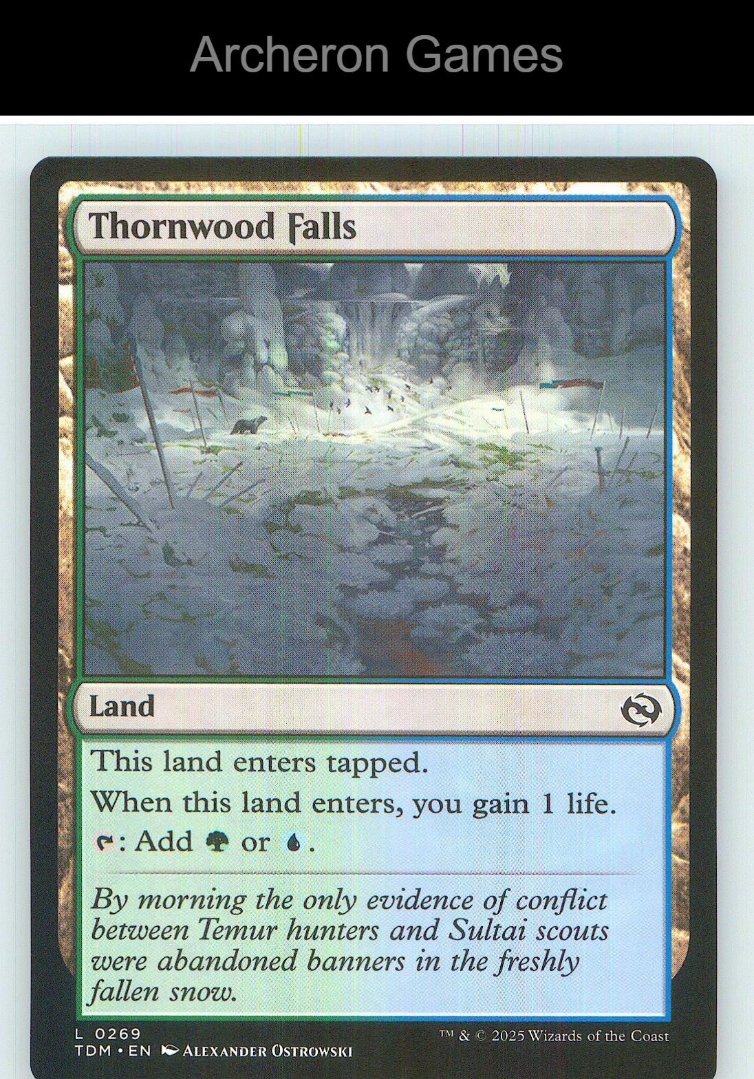 Thornwood Falls TDM 269 Land MTG Card NM/EX+