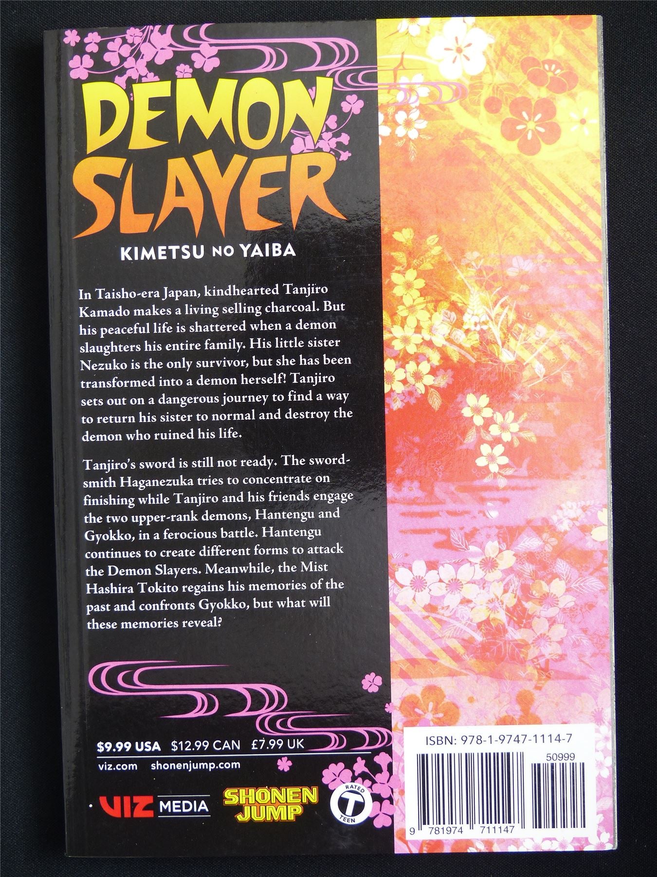 Demon Slayer: Kimetsu no Yaiba volume 14 - Viz Manga #54F