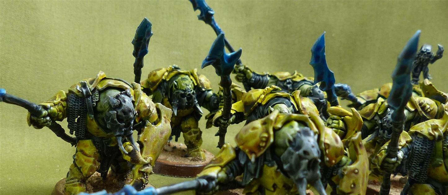 Ardboyz painted - Orruk Warclans - Warhammer AoS #50J