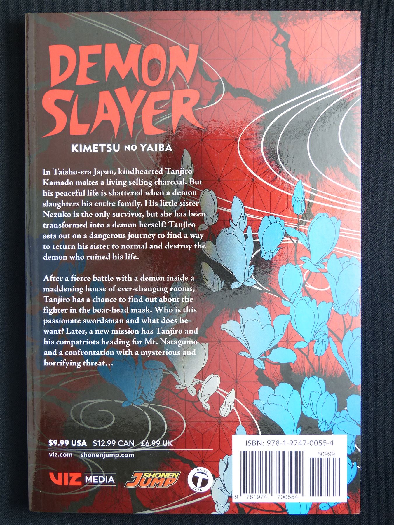 Demon Slayer: Kimetsu no Yaiba volume 4 - Viz Manga #545