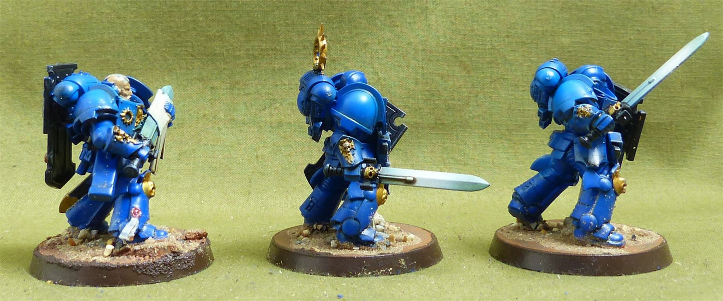 Bladeguard Veteran Squad painted - Space Marines - Warhammer 40K #6U0