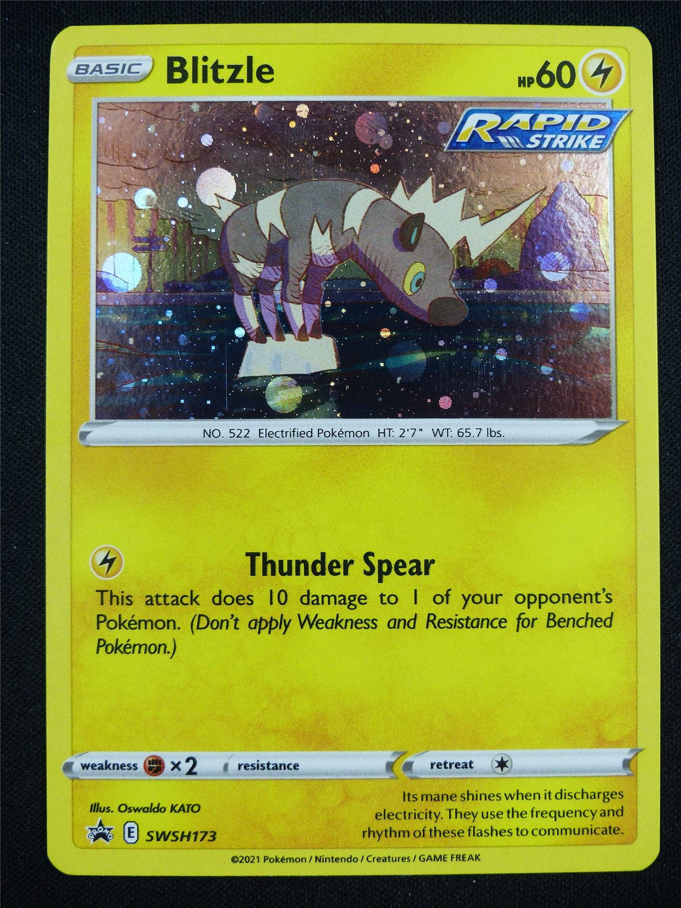 Blitzle SWSH173 Promo Holo - Pokemon Card #BF Archeron Blitzle SWSH173 Promo Holo - Pokemon Card #BF Archeron