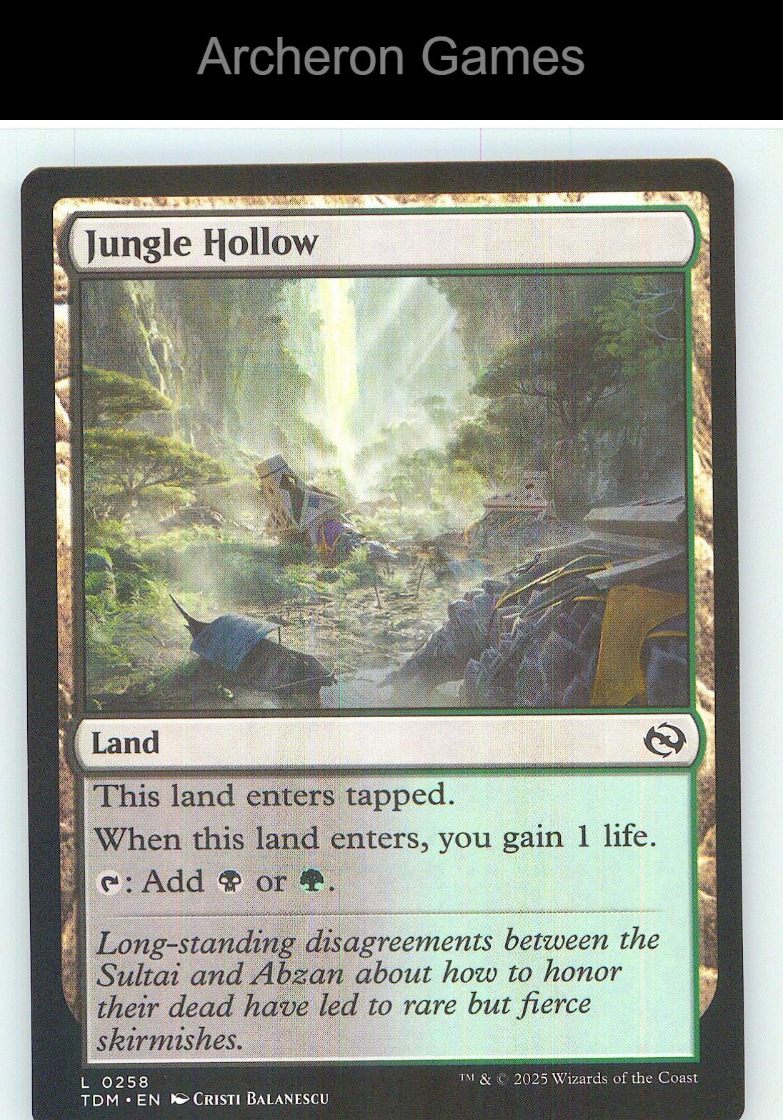 Jungle Hollow TDM 258 Land MTG Card NM/EX+
