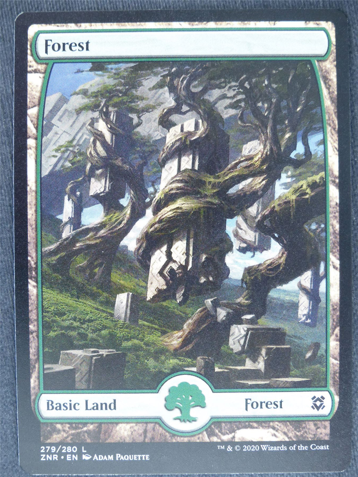 Forest 279/280 Full Art Mint - Mtg Magic Cards #2B