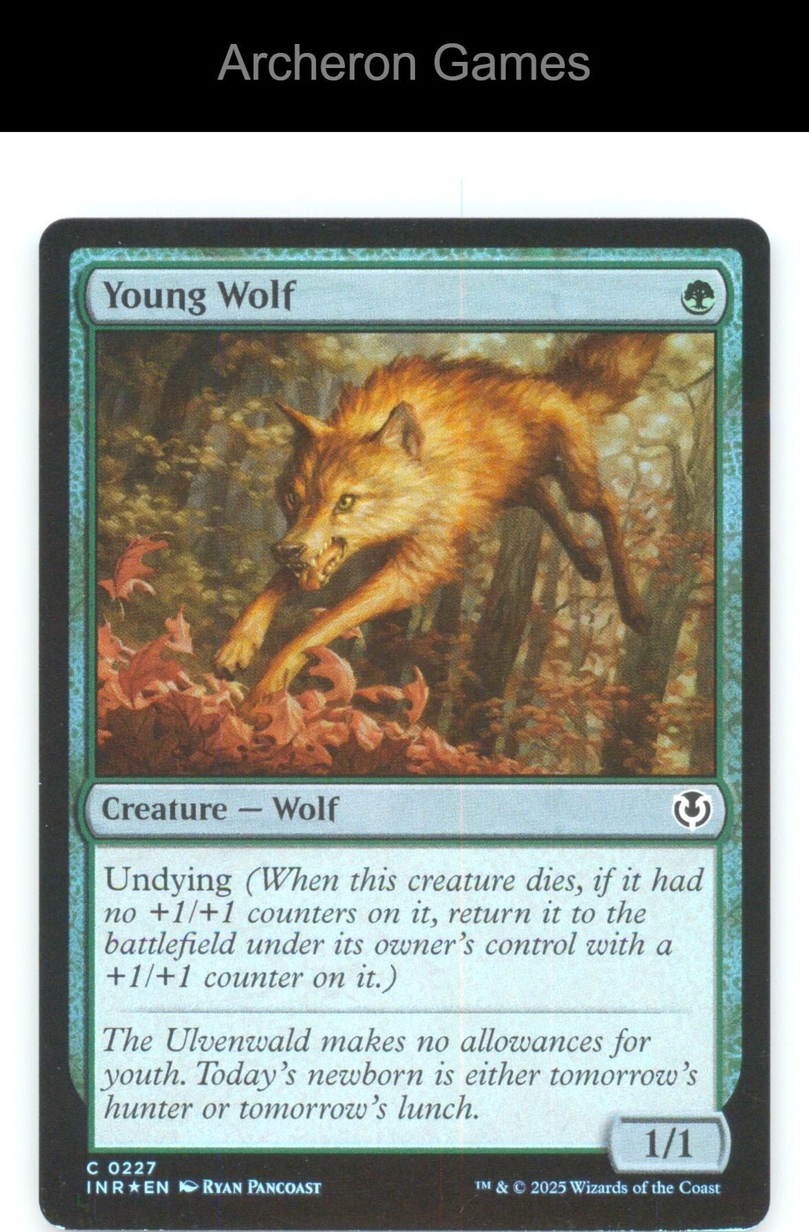 Young Wolf INR 227 C MTG Card Innistrad Remastered Foil