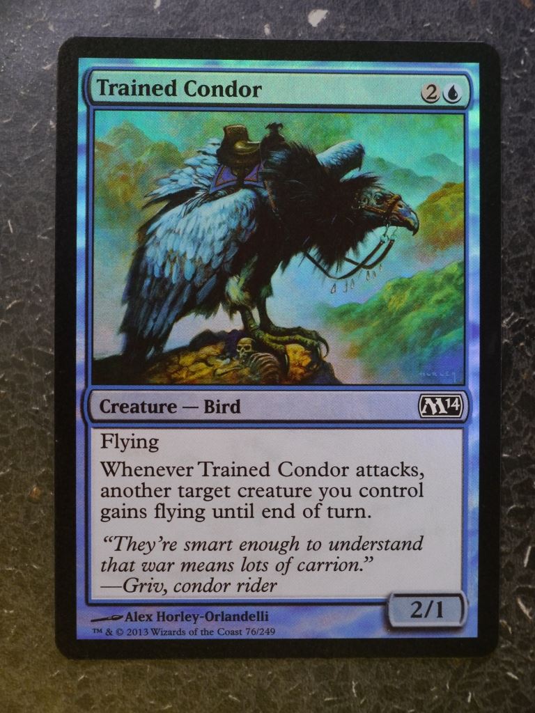 MTG Cards: TRAINED CONDOR FOIL # 5E77