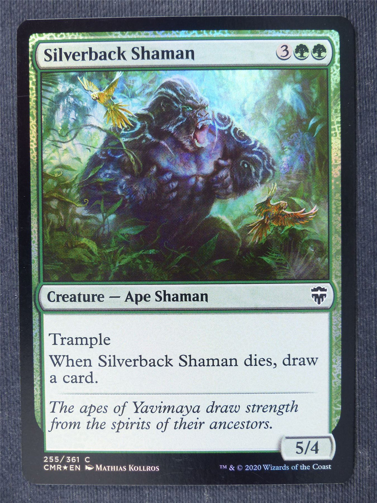 Silverbank Shaman Foil - Mtg Magic Cards #41H