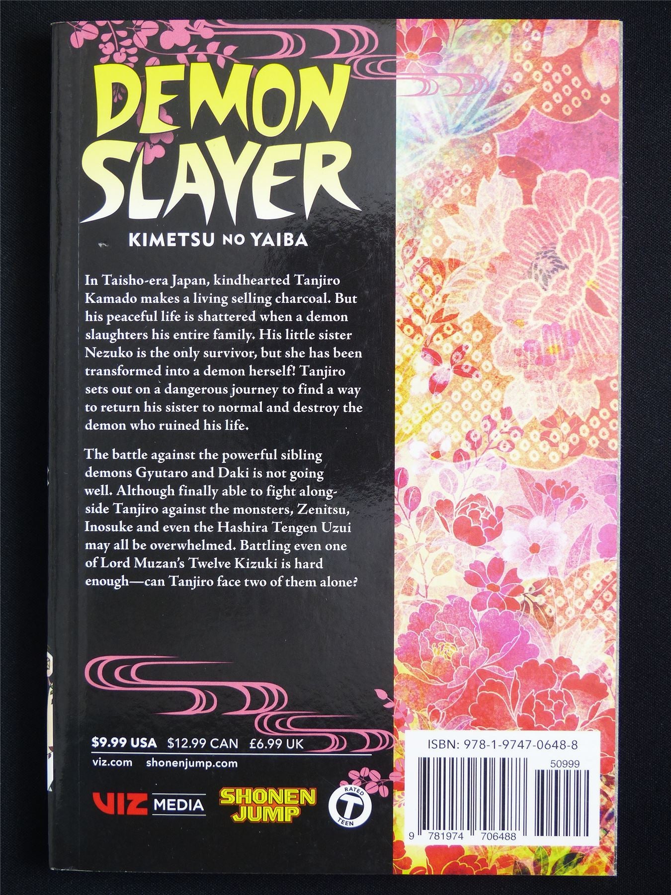 Demon Slayer: Kimetsu no Yaiba volume 11 - Viz Manga #54C