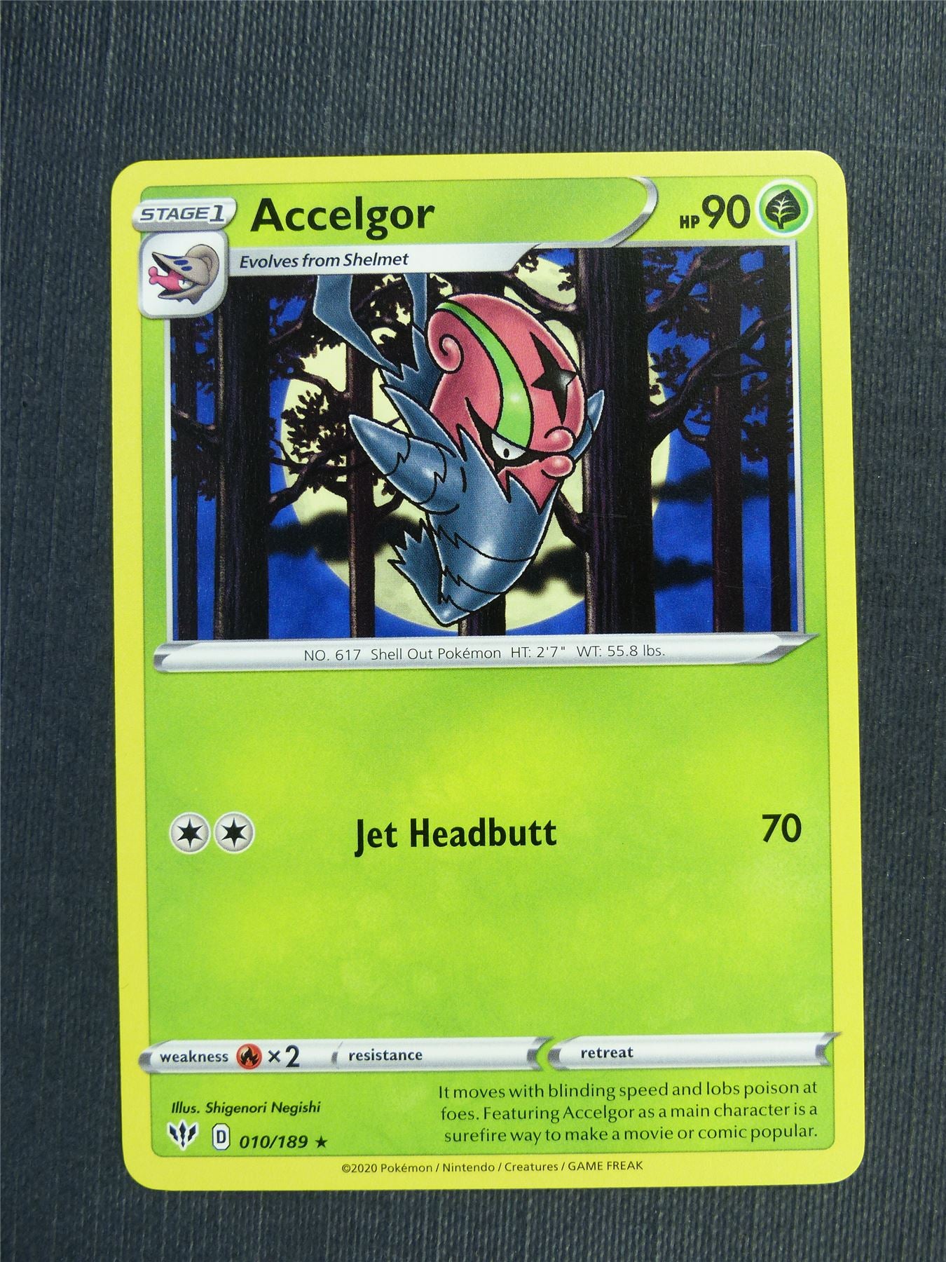 Accelgor 010/189 - DAA - Pokemon Card #392