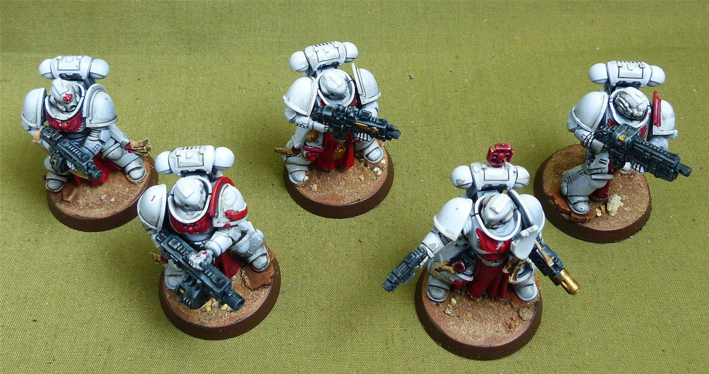 Sternguard Veteran Squad painted - White Scars - Warhammer 40K #4PW