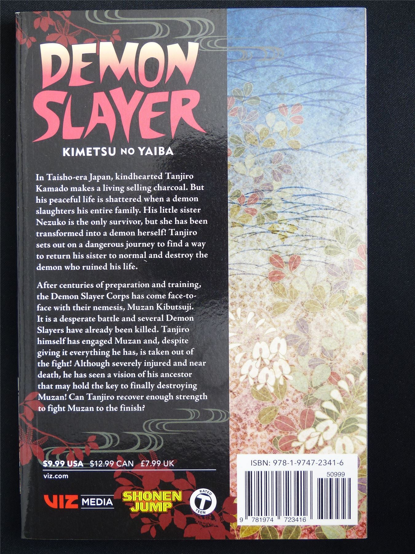 Demon Slayer: Kimetsu no Yaiba volume 22 - Viz Manga #54N