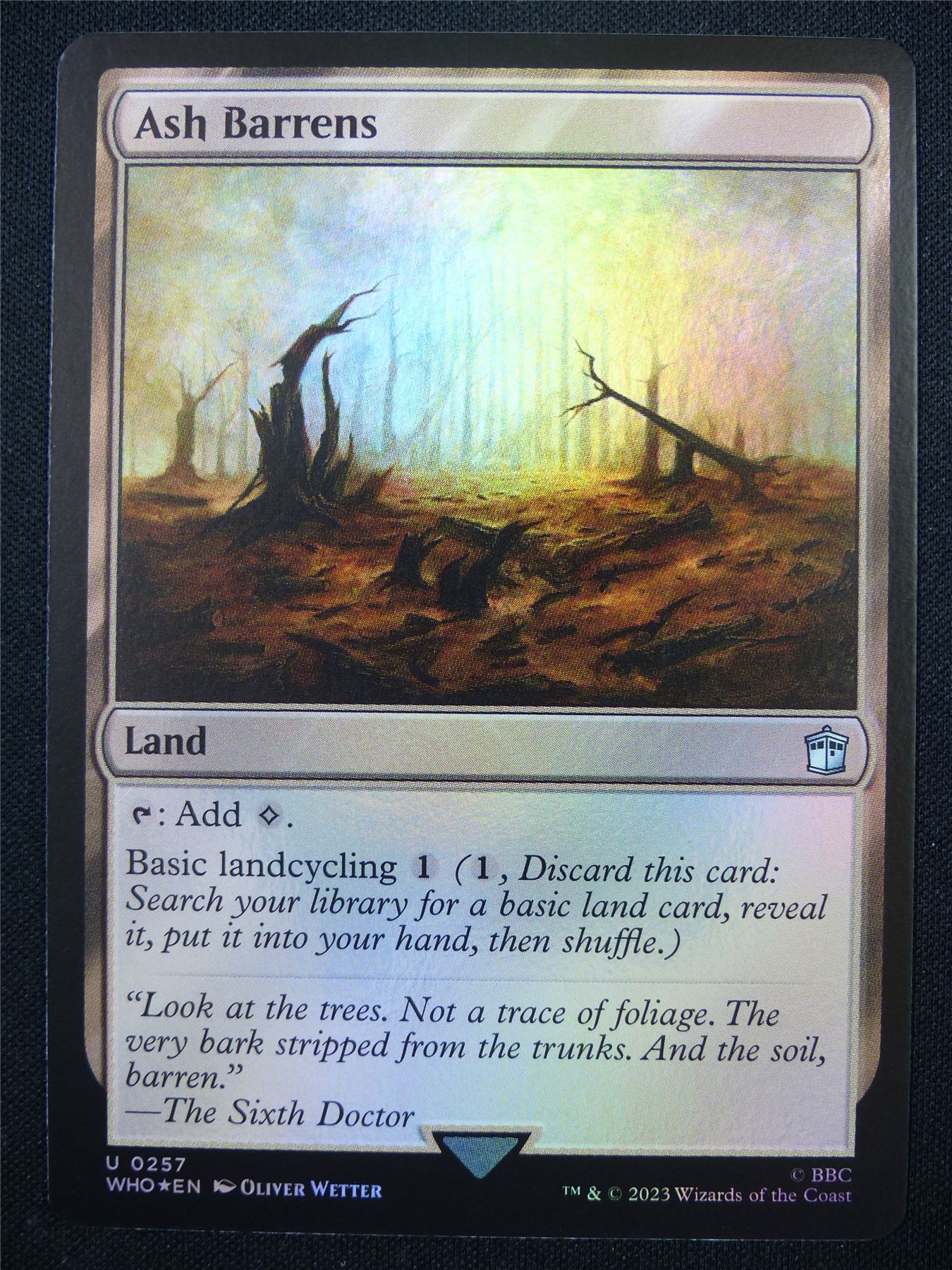 Ash Barrens Foil - WHO - Mtg Card #15Y Ash Barrens Foil - WHO - Mtg Card #15Y