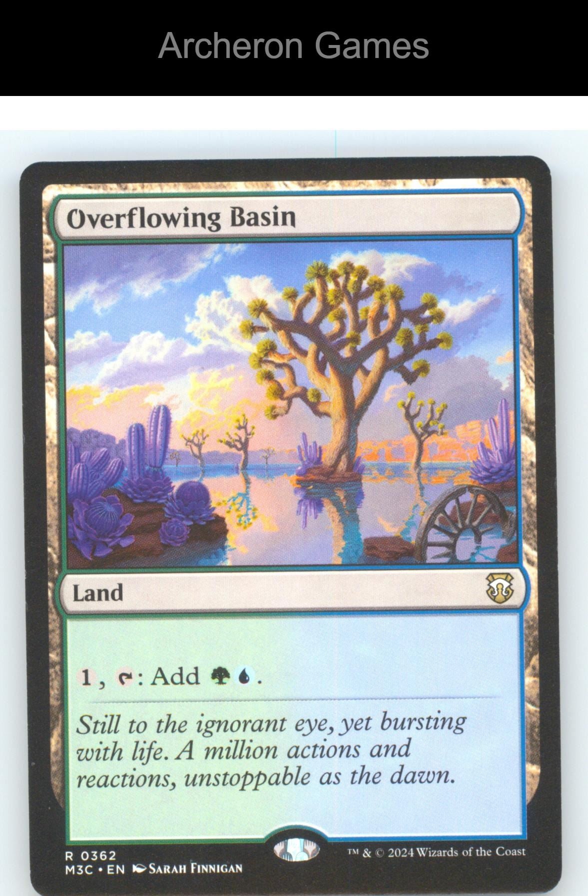 Overflowing Basin PLST 362 R MTG Card NM/EX+