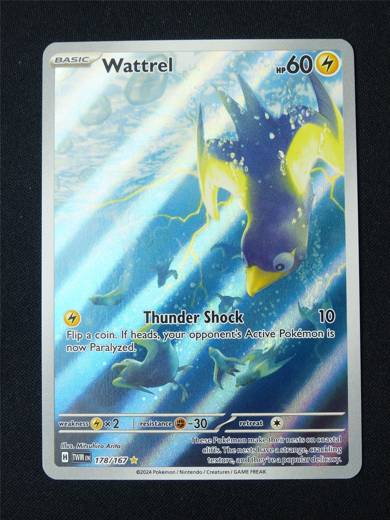 Wattrel 178/167 Holo - Pokemon Card #1ZW