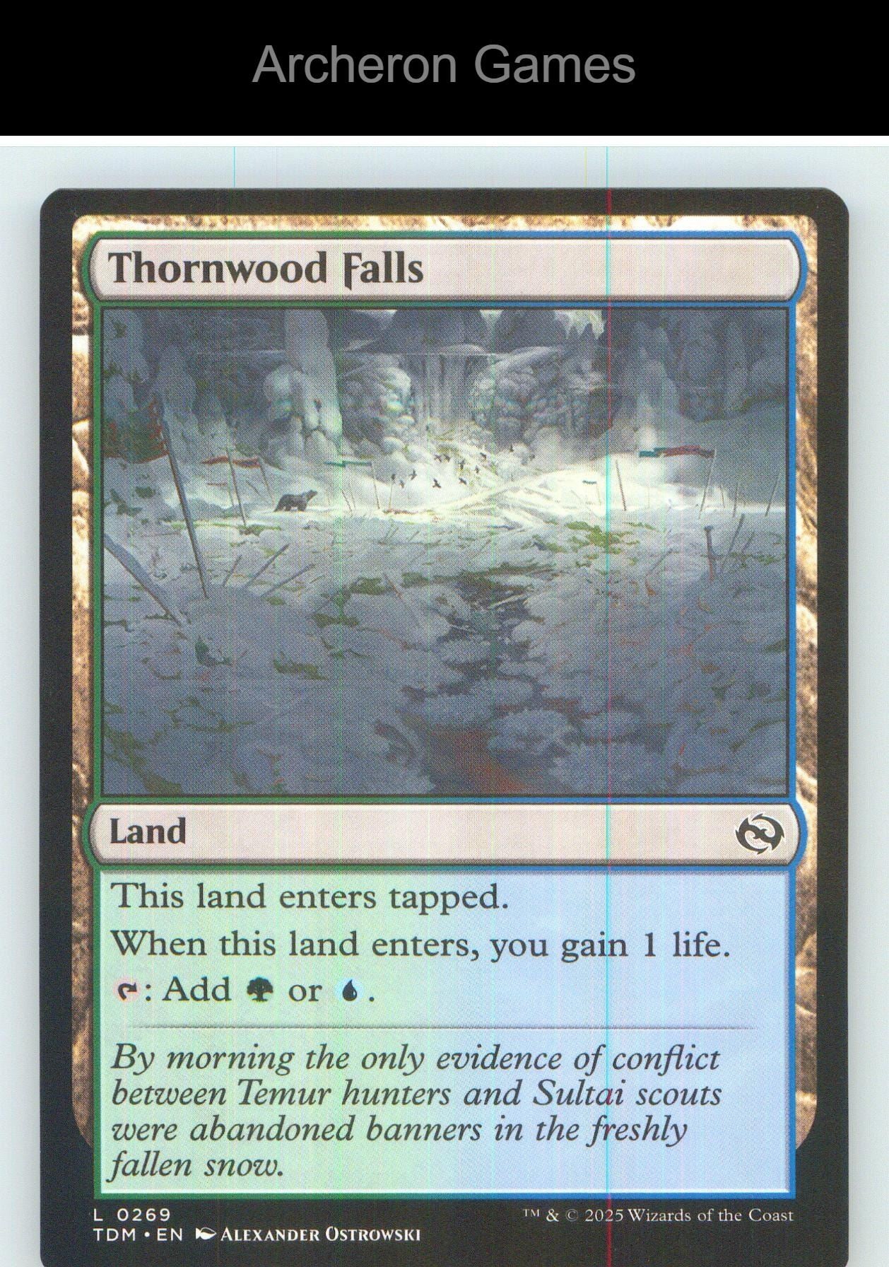 Thornwood Falls TDM 269 Land MTG Card NM/EX+
