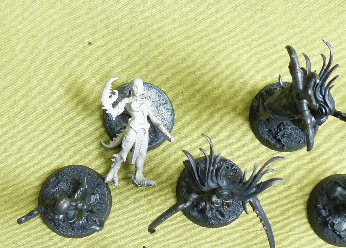Daemonettes of Slaanesh - Emperor's Children - Warhammer 40K #4UT