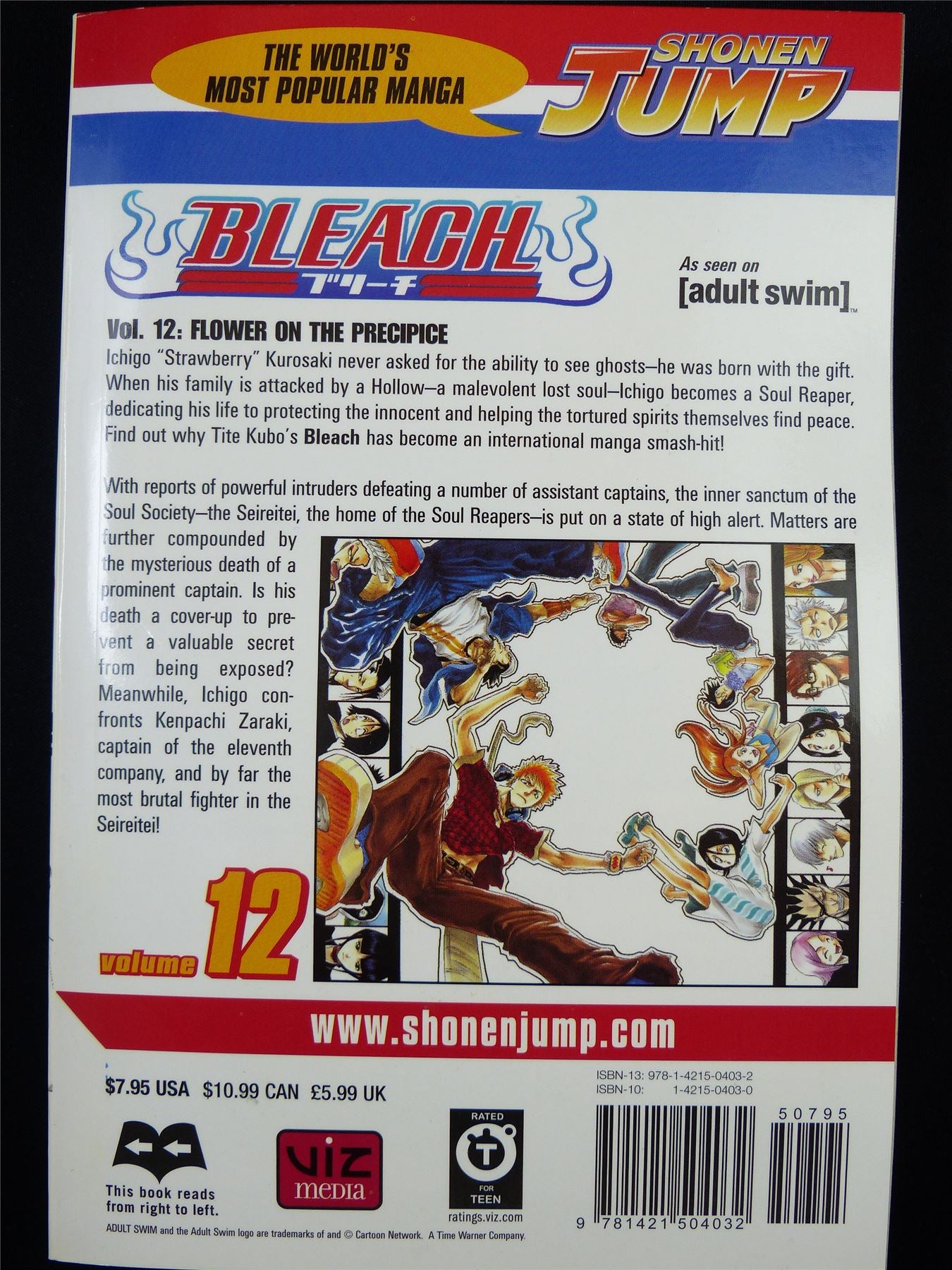 BLEACH Volume 12 - Shonen Jump Viz Manga #3IM