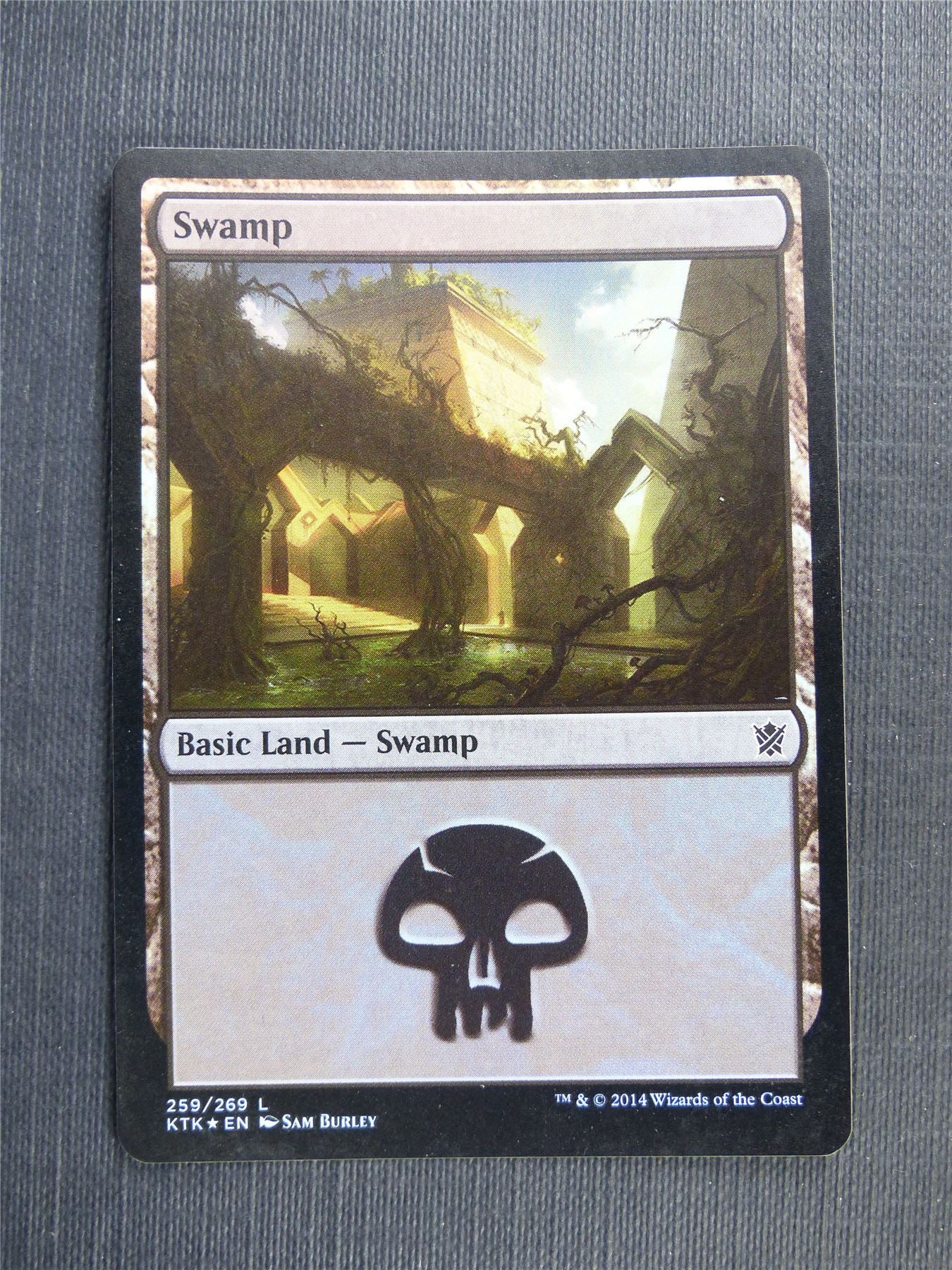 Swamp 259/269 Foil - Mtg Magic Cards #53T