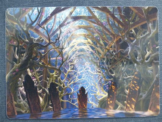 Skemfar Elderhall 73/81 Art - Mtg Magic Cards #5C