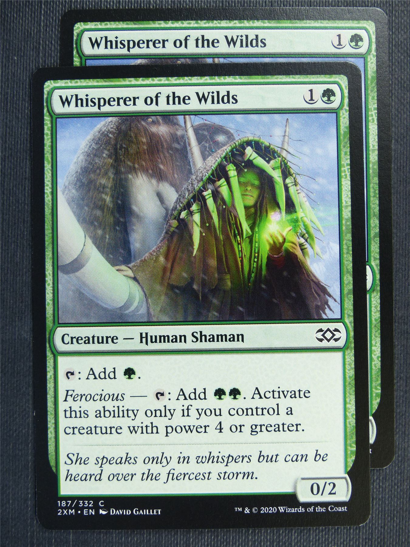 Whisperer of the Wilds x2 #3NW