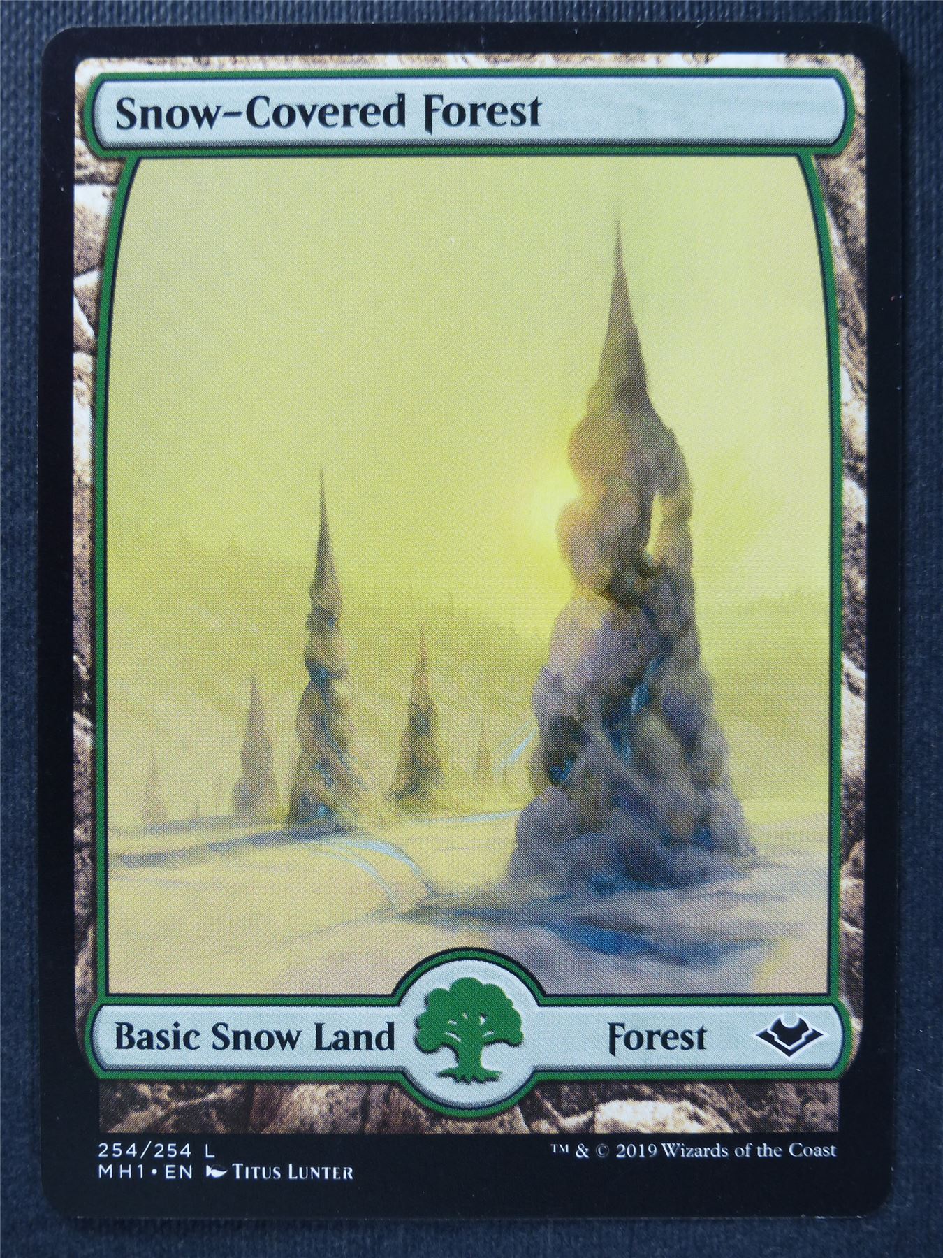 Snow-Covered 254/254 Full Art - Mtg Magic Cards #BH