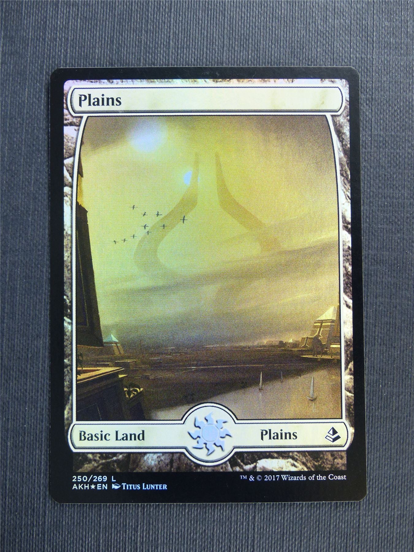 Plains 250/269 Fullart Foil - Mtg Magic Cards #4HQ