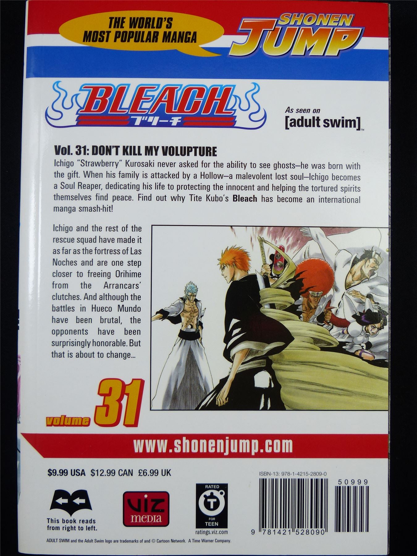 BLEACH Volume 31 - Shonen Jump Viz Manga #3J5