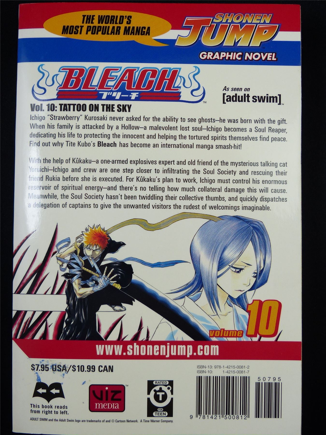BLEACH Volume 10 - Shonen Jump Viz Manga #3IK