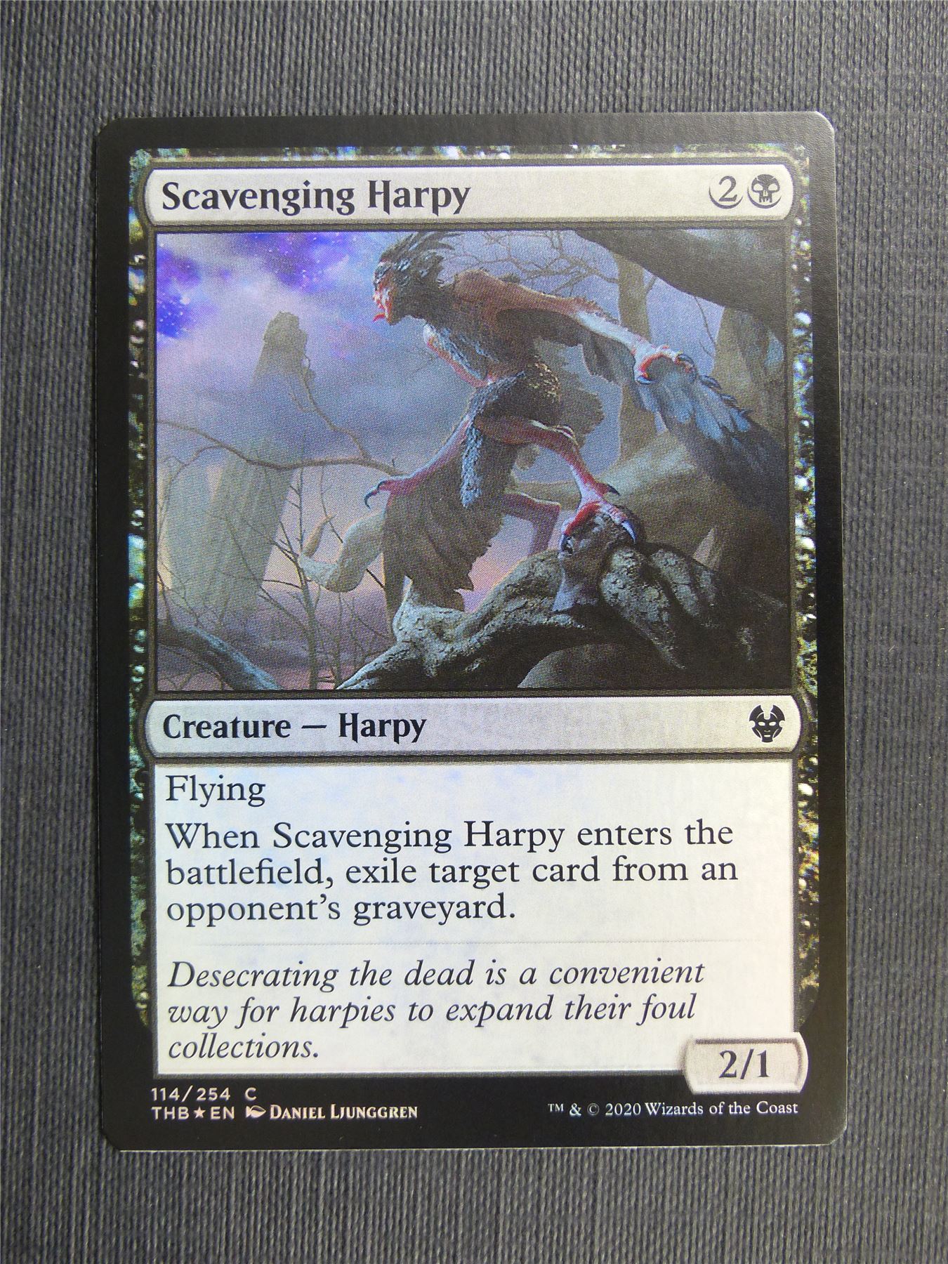 Scavenging Harpy Foil - Theros Collector Ed - Mtg Magic Cards #3MB