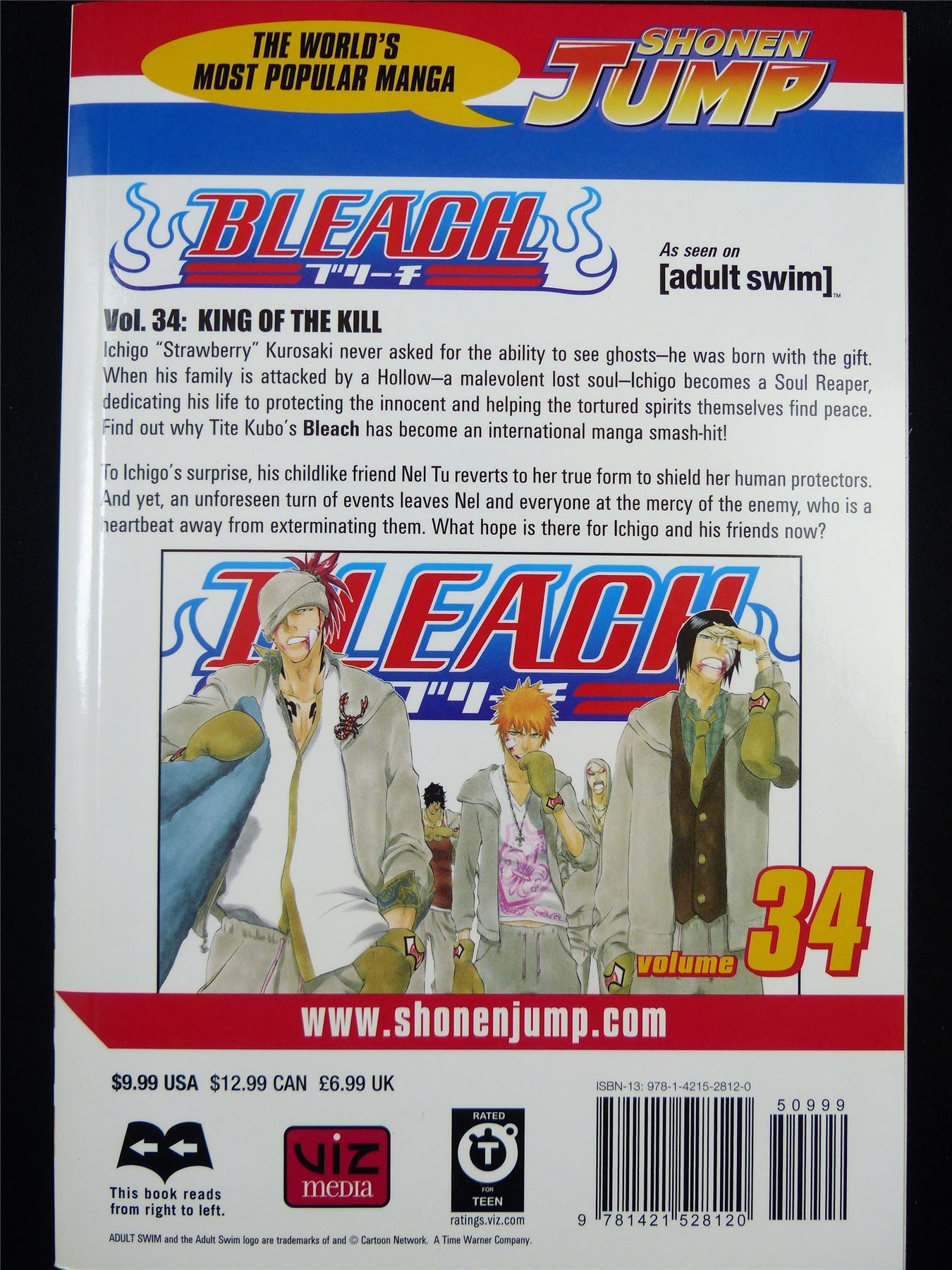 BLEACH Volume 34 - Shonen Jump Viz Manga #3J8