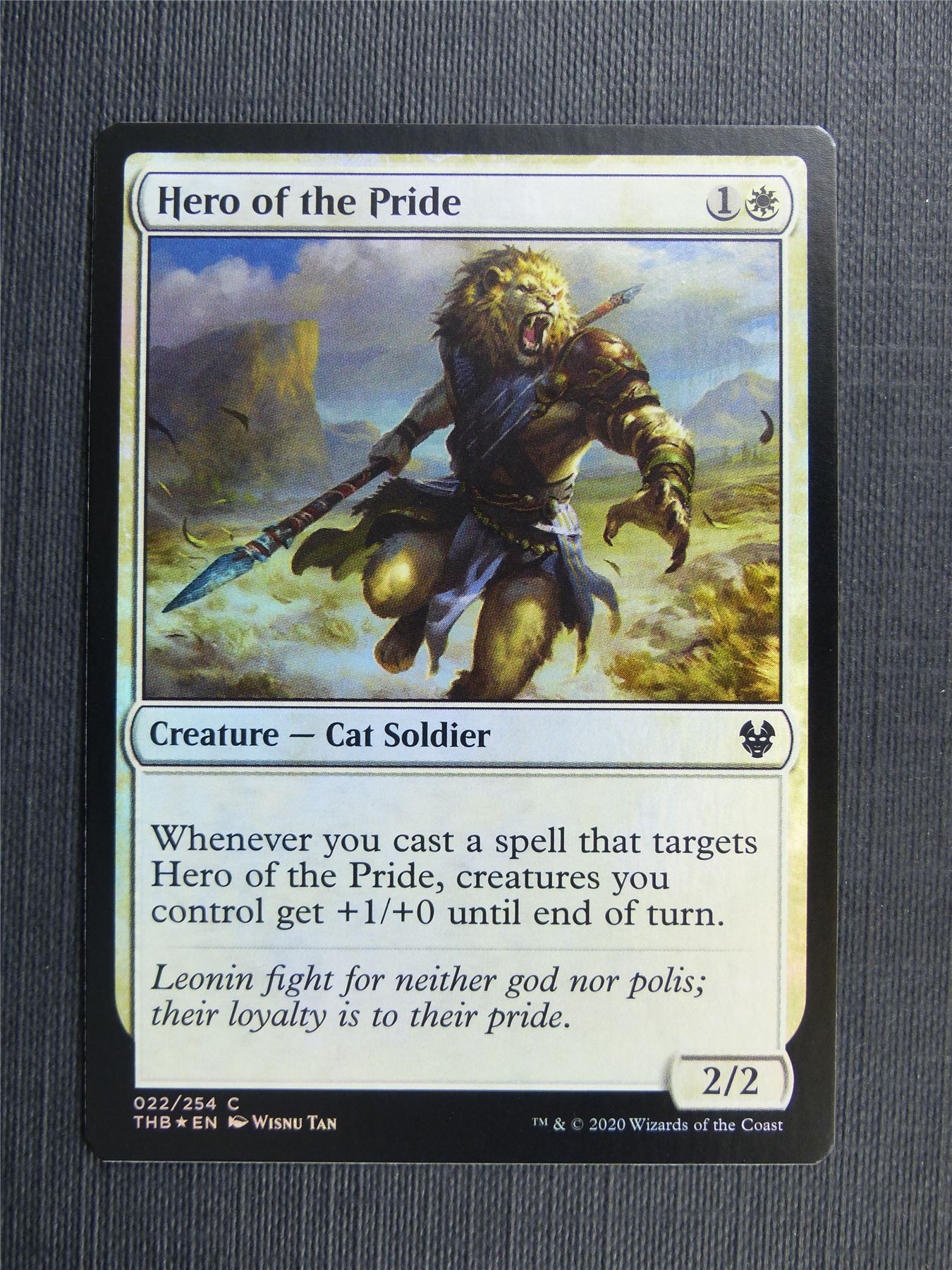 Hero of the Pride Foil - Theros Collector Ed - Mtg Magic Cards #3NX