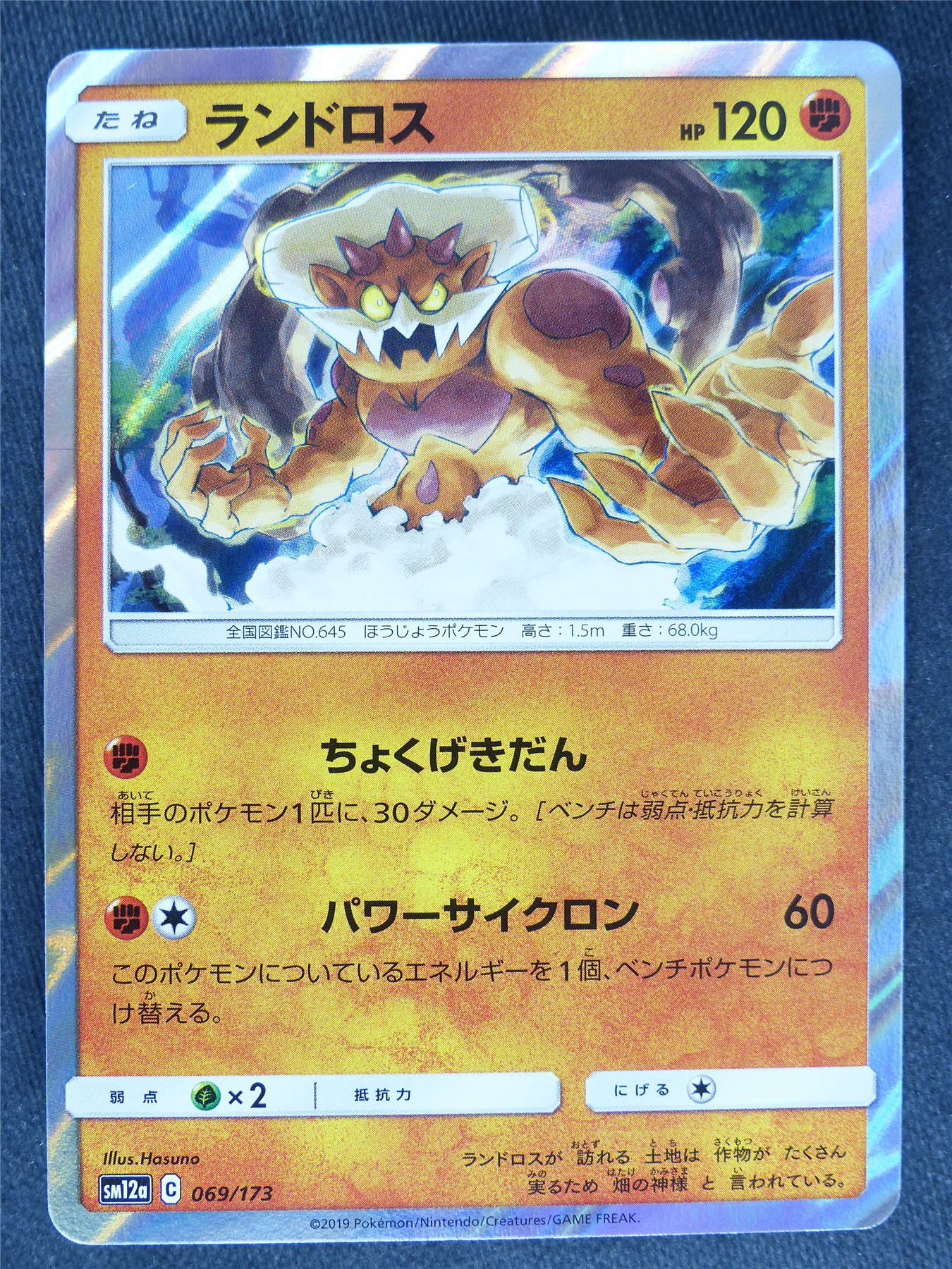Landorus 069/173 Holo Japanese - Pokemon Cards #77 Archeron Landorus 069/173 Holo Japanese - Pokemon Cards #77 Archeron