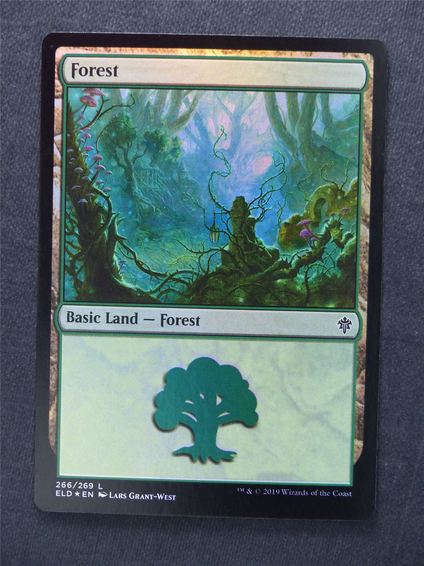 Forest 266/269 Foil - Mtg Magic Cards #YW