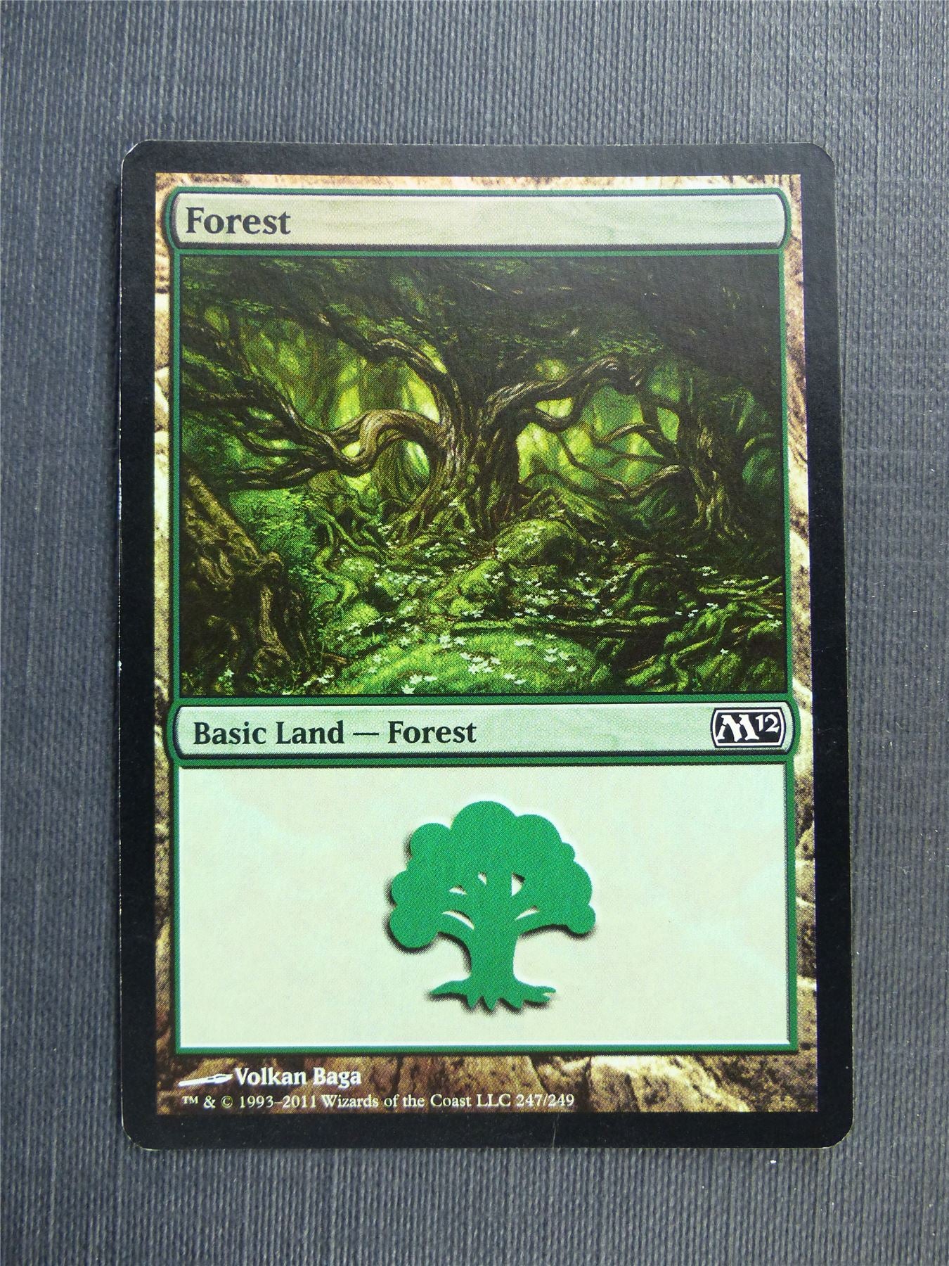 Forest 247/249 Foil - Mtg Magic Cards #52F