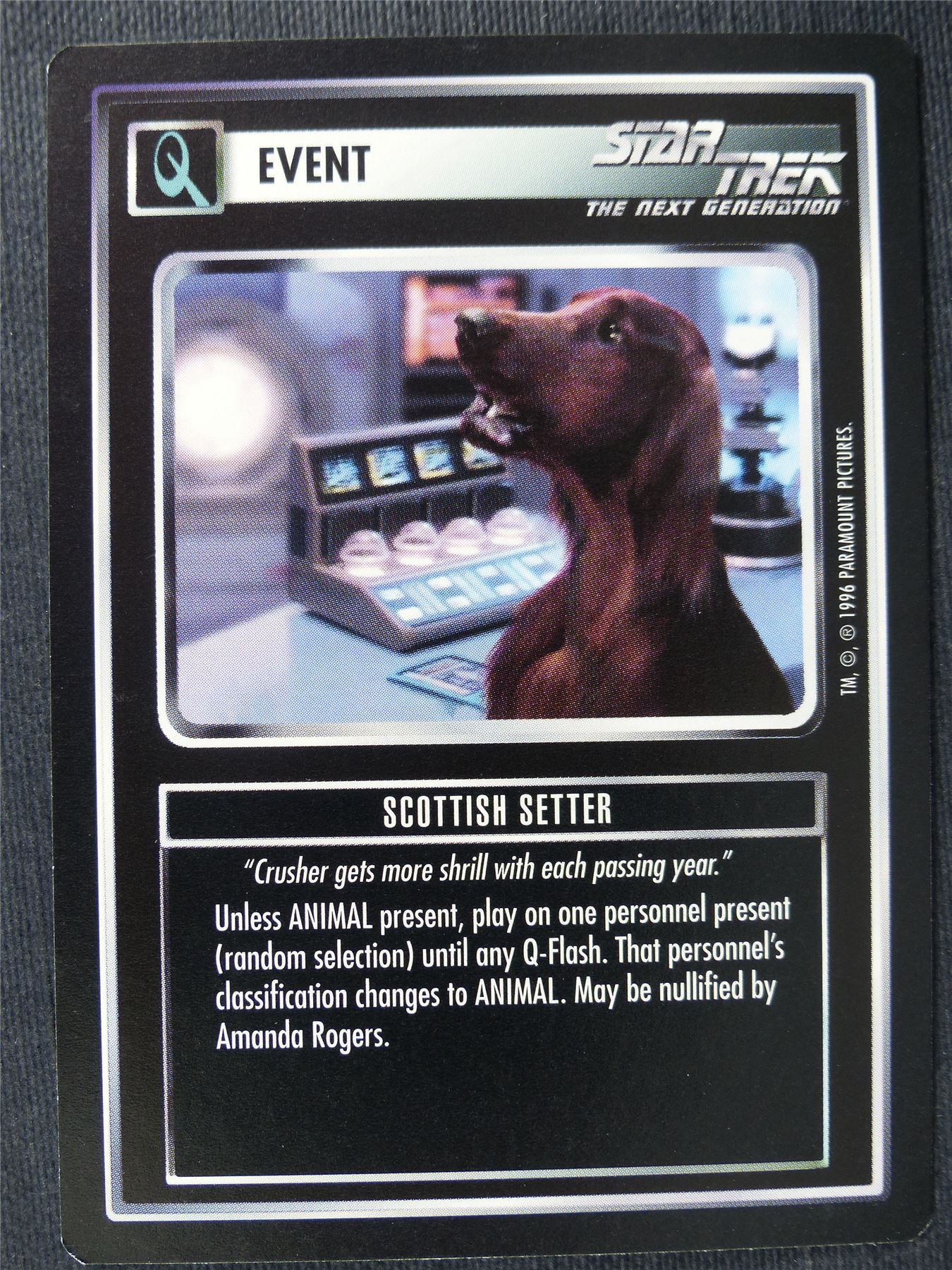 Scottish Setter - NG - Star Trek Cards #YY