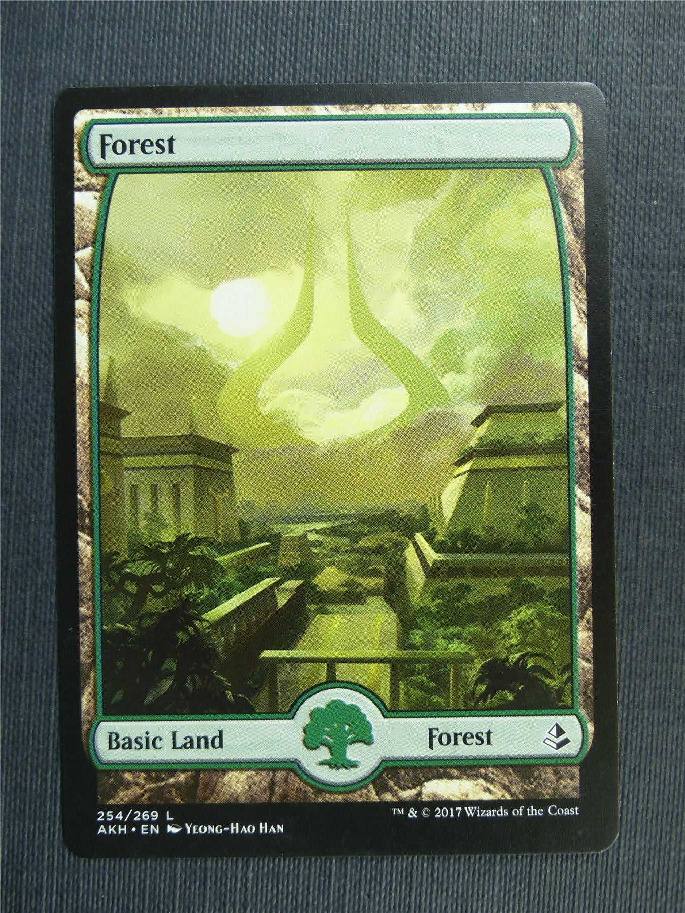 Forest 254/269 full art - Mtg Magic Cards #34S