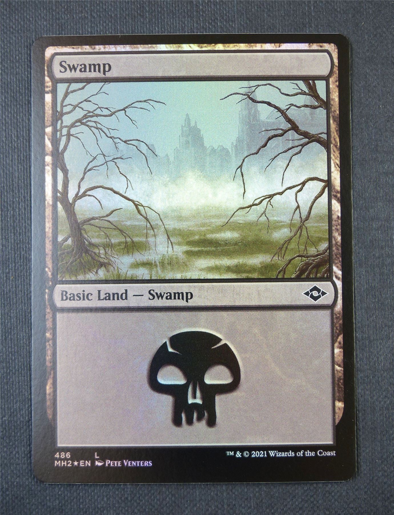 Swamp Foil - Land - Mtg Card #559
