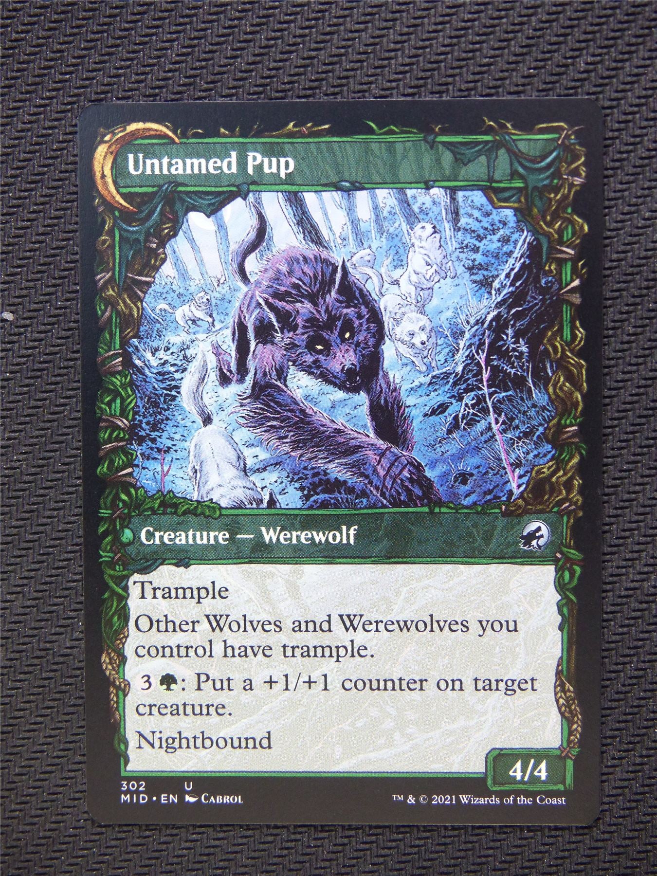 Hound Tamer Untamed Pup  Showcase - Innistrad - Mtg Card #3MM
