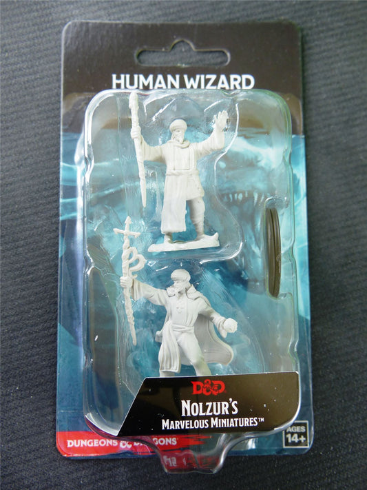 Human Wizard Miniature - Dungeons and Dragons #9V